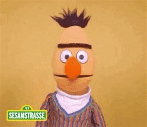 Bert Sesame Street GIF - Bert SesameStreet Sesamstrasse - Discover ...