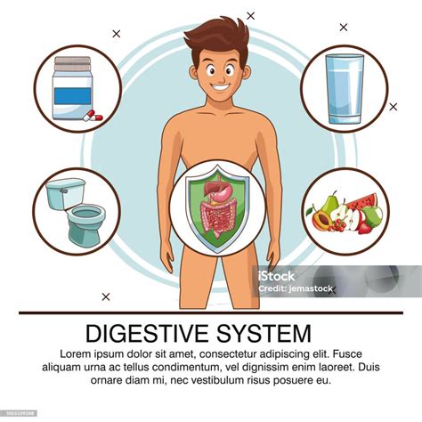 Infografis Sistem Pencernaan Ilustrasi Stok - Unduh Gambar Sekarang
