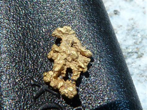 Gold - Abenteuerwelt Napf