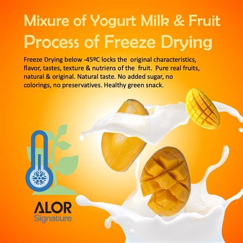 Alor Freeze Dried Mango Yogurt Bites 30g Shopee Malaysia