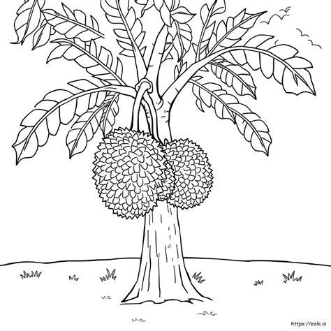 durian grow a garden 2