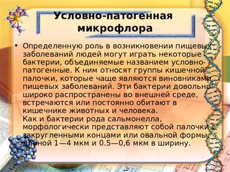 Презентация по микробиологии "Пищевые заболевания, вызванные ...