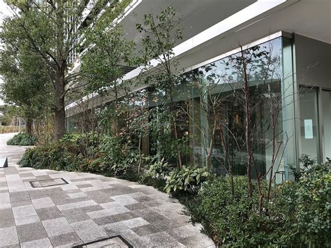 TREE By NAKED Meiji Park Tokyo Restaurant HappyCow