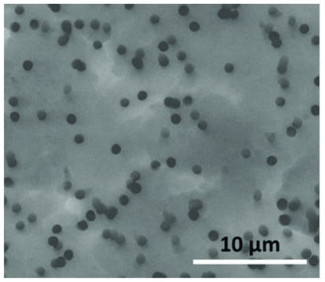 Scanning Electron Micrograph Showing The Surface Of A Whatman