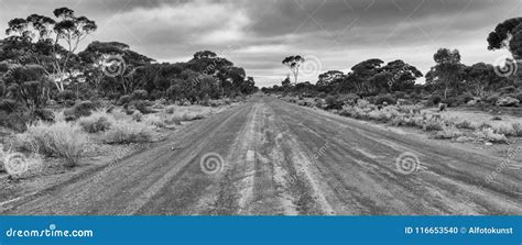 Road, Outback Of Western Australia Royalty-Free Stock Image | CartoonDealer.com #116653540