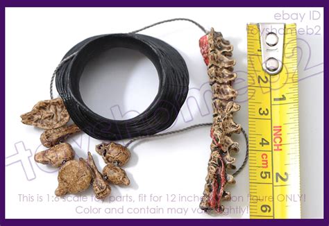 Hot Toys Alien Vs Predator Avp Mms Scar Predator Necklace