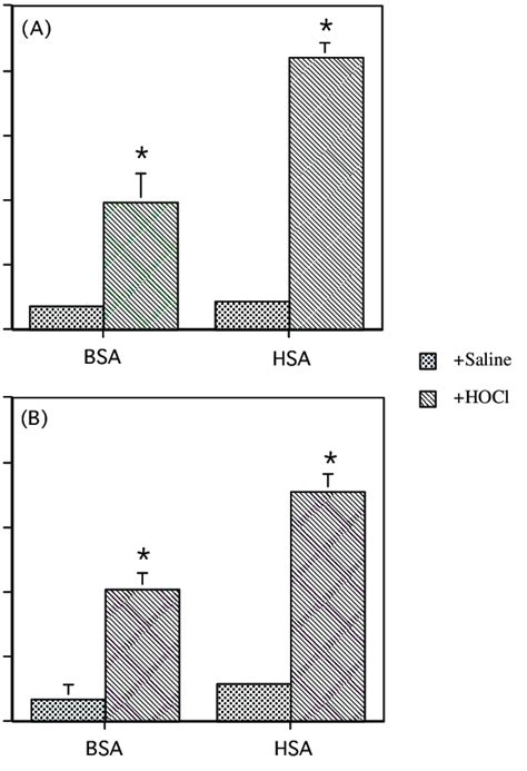 The Effect Of Incubating Bovine Serum Albumin BSA And Human Serum