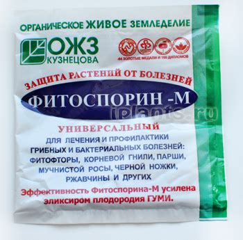 Фитоспорин - инструкция, применение, подробное описание, нормы расхода