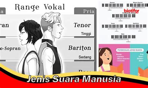 Jenis Suara Manusia Panduan Lengkap Untuk Beragam Vokal Biotifor