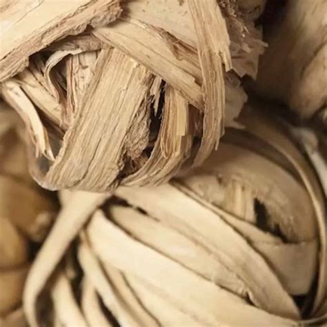 Katrafay essentiële oliën uit Madagaskar - Geert De Vuyst