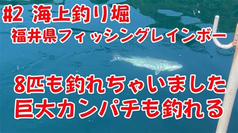 2 海上釣り堀】福井県フィッシングレインボーで巨大なカンパチも釣れます！みんなで釣りを楽しみました！ Youtube