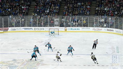 Elite Ice Hockey League suspends 2020/21 season | Ice Hockey News | Sky ...