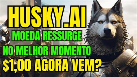 HUSKY AI URGENTE MOEDA INICIA RETORNO TRIUNFAL 1 00 PODE SER UMA