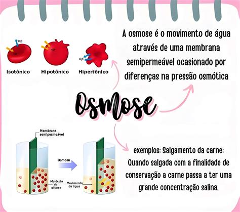 Mapa Mental Sobre Osmose Maps4study