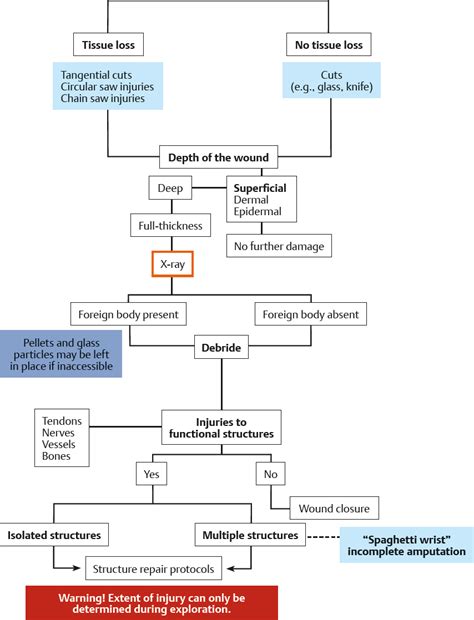 principles  treatment  management plastic surgery key