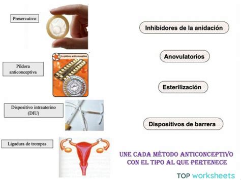 Tipos De Métodos Anticonceptivos Ficha Interactiva Topworksheets