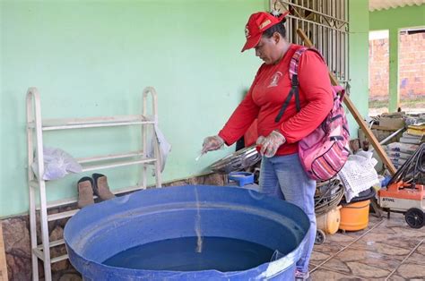 mais de 1 4 mil notificações de dengue Rio Branco decreta situação