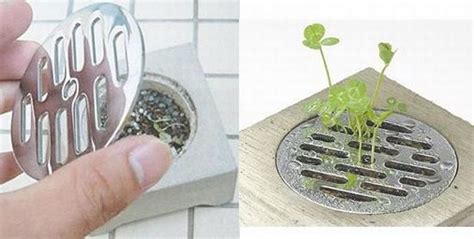 Haisui Planter See The Plants Springing Up In Drains Hometone Home Automation And Smart