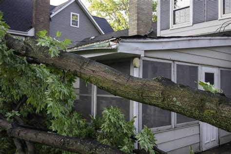 Three Signs Of Roof Storm Damage All About Roofs