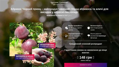Абрикос Чорний принц | Ориганільний сорт!