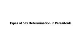 Sex Determination In Insect PPT