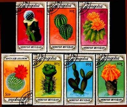 Культивар: номер 5 (27)