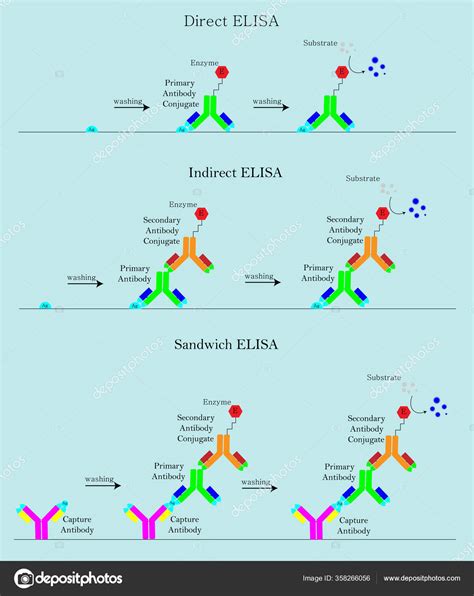 Teste Elisa Indireto Free Indirect Elisa Icons, Symbols, Pictures, And 