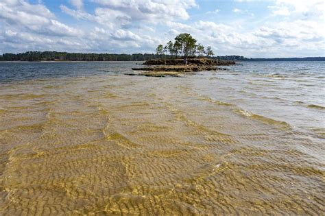 How Wide Is Texass Lake Sam Rayburn A Z Animals