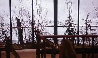 Christina Lindberg Exponerad Celebrity Porn XHamster