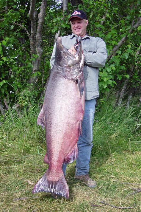 Record Salmon
