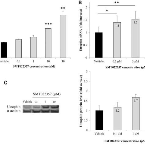 In Vitro Activity Of Smt022357 A Smt022357 In Vitro Dose Response In