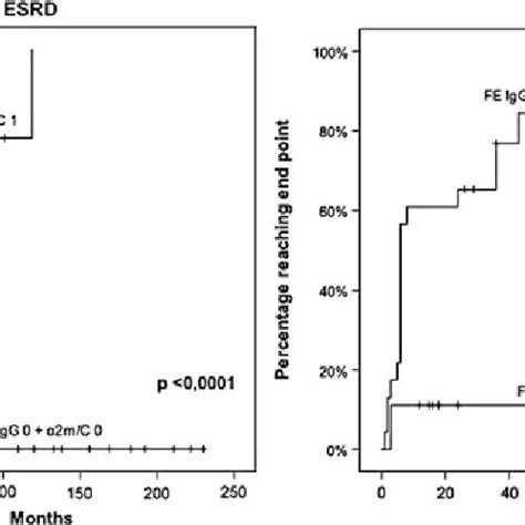 Probability Of Esrd And Remission In Patients With Fsgs And Ns