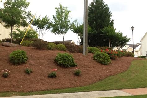 pine straw   garden creating  natural