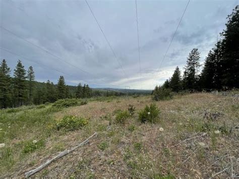 Best Hikes And Trails In Brooks Memorial State Park Alltrails