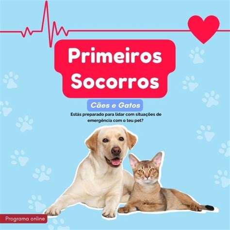 Primeiros Socorros Cães e Gatos Soraia Lopes Hotmart