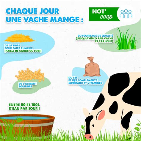 L Alimentation Pour Les Diaba C Tiques 7