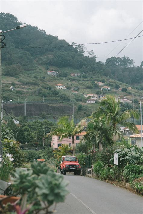 Puerto Rico's agriculture & Food Industry