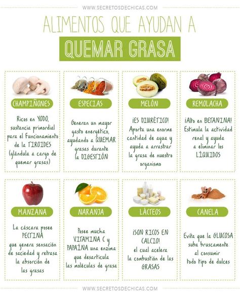 Alimentos que ayudan a quemar grasa Infografías y Remedios