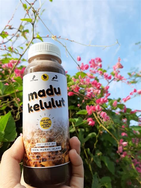 jual madu kelulut smexpo pertamina