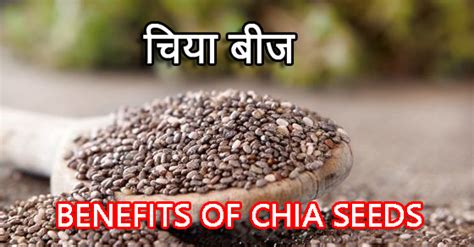 चिया बीज क्या है जानिए इसके फायदे और नुक्सान Chia Seeds Benefits And Side Effects In Hindi