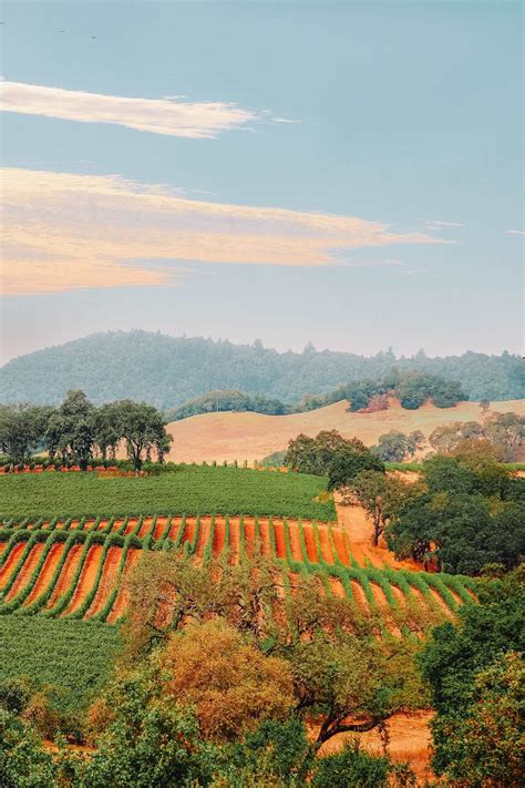 11 Best Things To Do In Napa Valley, California - Hand Luggage Only
