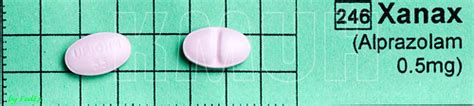 Sedative Hyponotics Benzodiazepine Flashcards Quizlet
