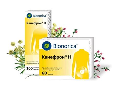 Фуразолидон при цистите: инструкция по применению, как принимать ...