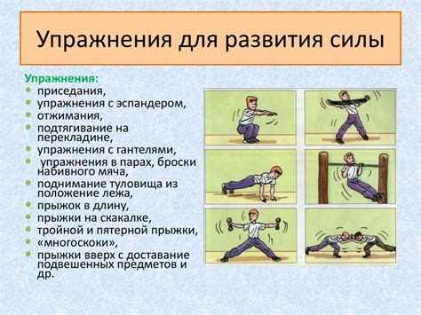 Физические качества (сила, гибкость) - презентация онлайн