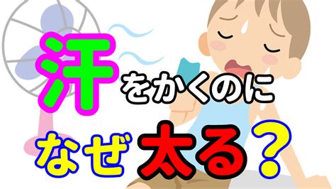 夏はたくさん汗をかくのに、なぜ太るのか？ 和泉市でプロ・実業団アスリートが選ぶ和泉府中駅徒歩3分の整骨院 よしの整骨院