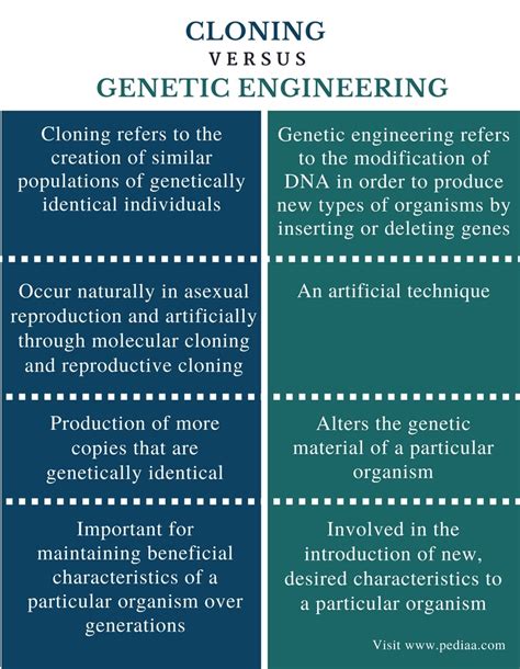 Difference Between Cloning And Genetic Engineering Definition Types