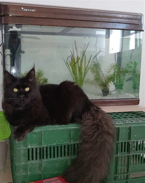 Безумный Зоолог — LiveJournal