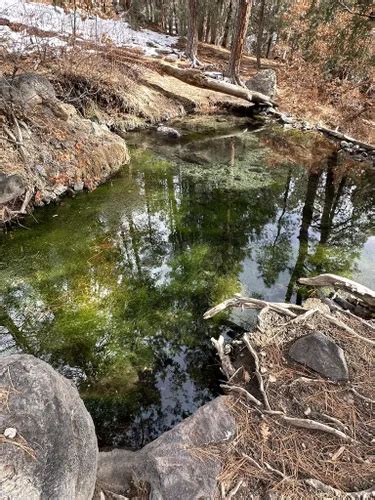 Best Camping Trails in Jemez Springs | AllTrails