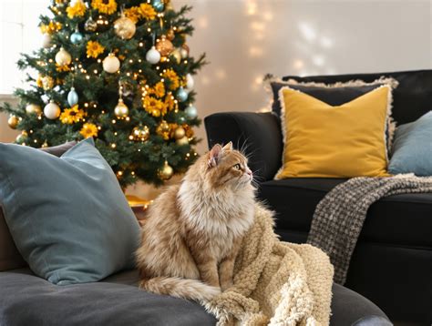safe christmas tree for cats 9