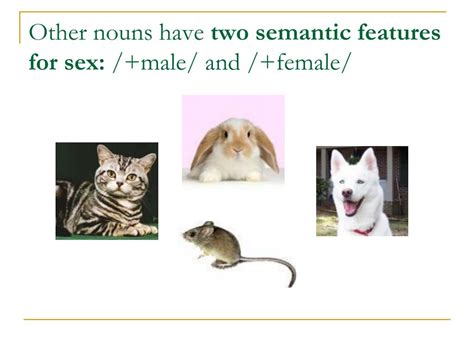 Ppt The Gender Of Nouns Powerpoint Presentation Free Download Id1430872